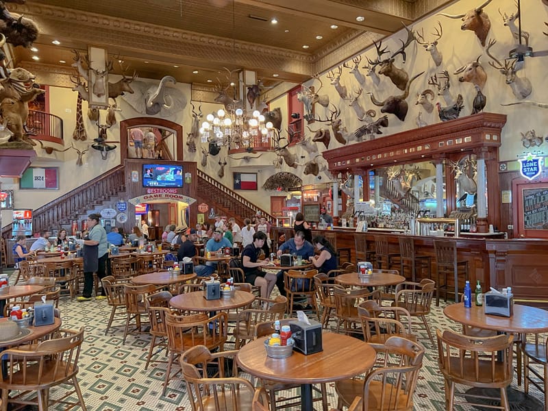 people visiting a soloon with animal heads on the wall - one of the things to do in San Antonio