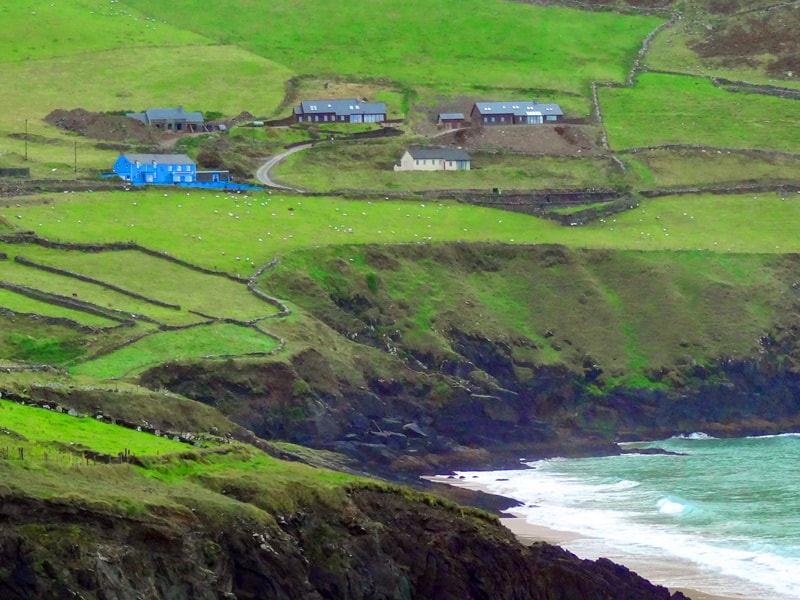 a rugged coast with bright green pastures on the Dingle peninsula in Ireland