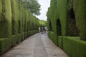 things-to-do-in-granada-people-in-alhambra-by-tall-hedges.jpg