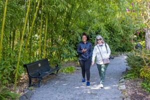 two women walking along a path in a botanical garden