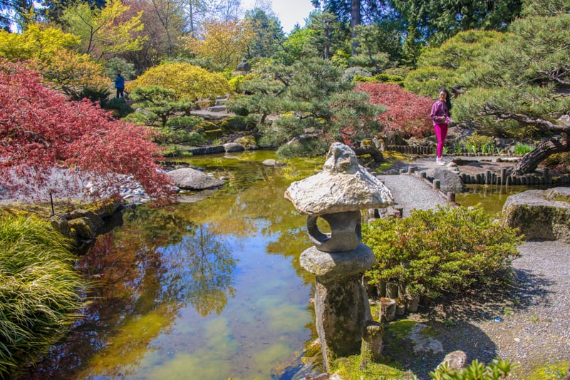 a woman viewing a Japanese garden in Seattle Southside