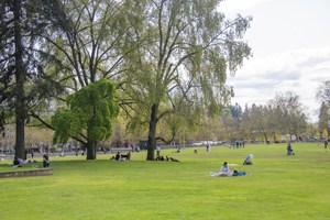 people relaxing on the grass in a large park