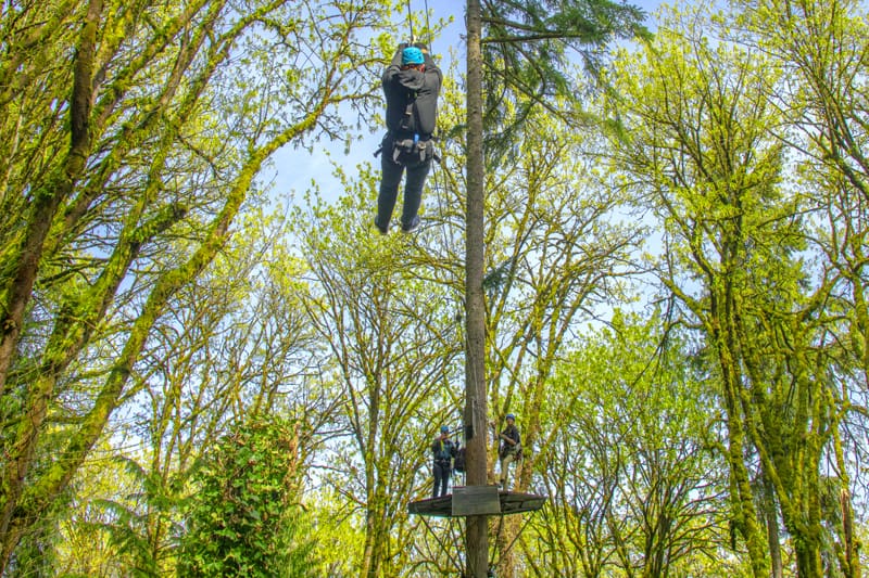 man on a zip line in a dense forest - one of the things to do in Bellevue