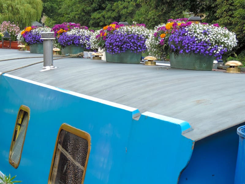 colorful flowers atop a boat