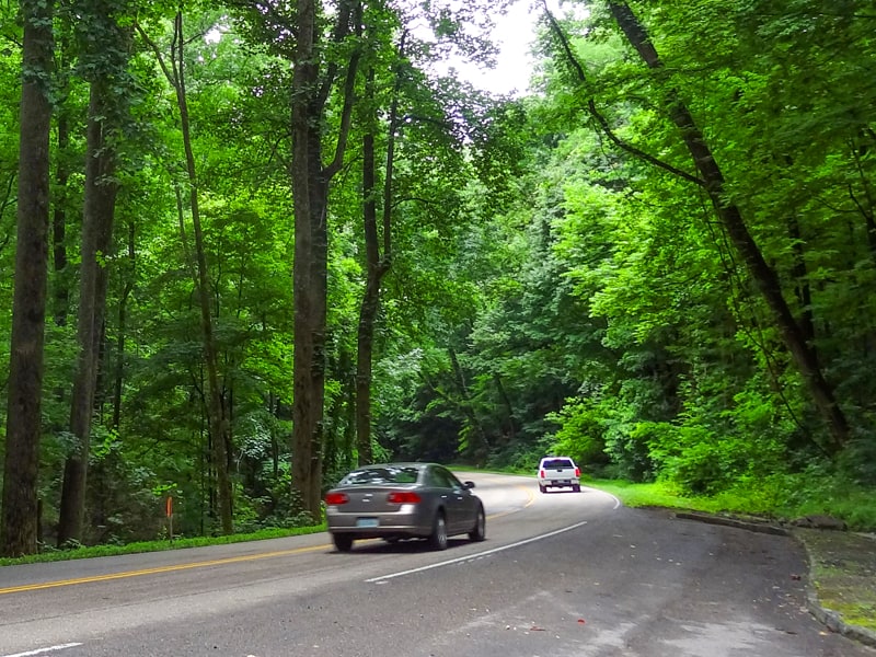 cars in a forest - seen on a scenic drive in the Smoky mountains