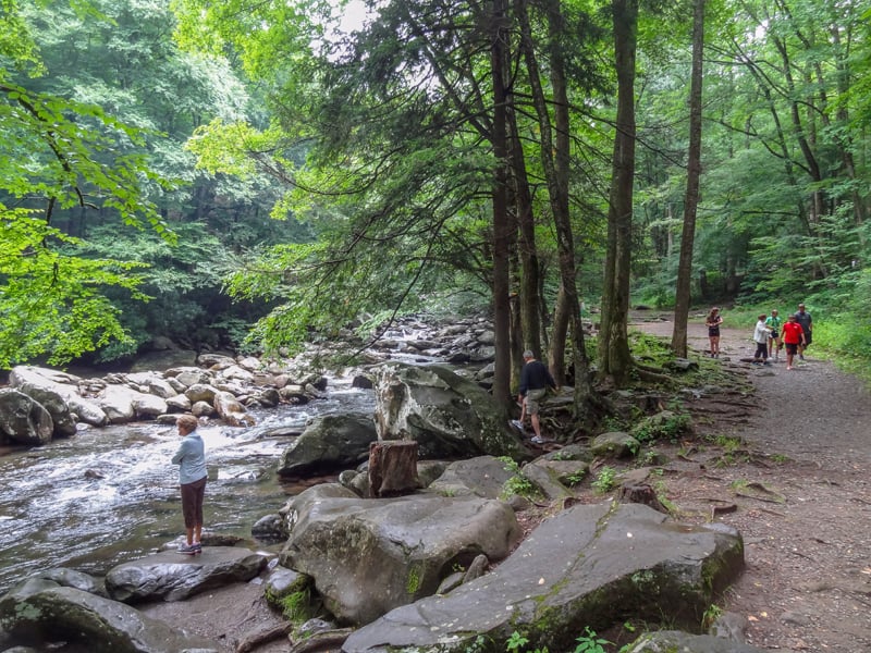 people in a forest looking at a river - seen on a scenic drive in the Smoky mountains