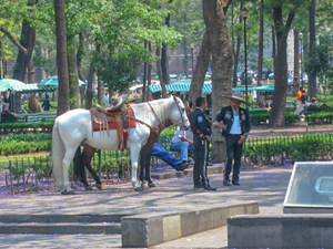 two men and a horse in a park