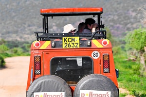 people taking photos from a safari vehicle - seen on a Kenya and Tanzania safaris