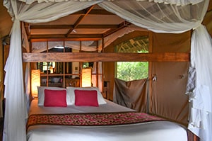 the interior of a safari tent