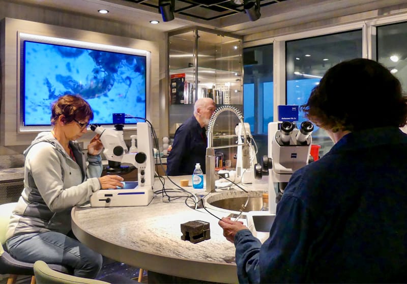 people looking through microscopes - on the MS Roald Amundsen