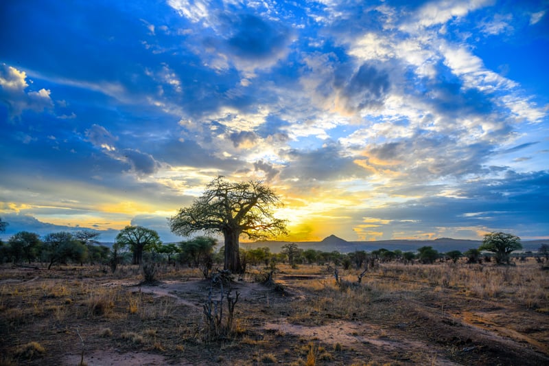 a colorful African sunset