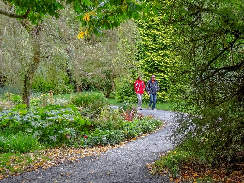 a couple walking on a trail through the woods