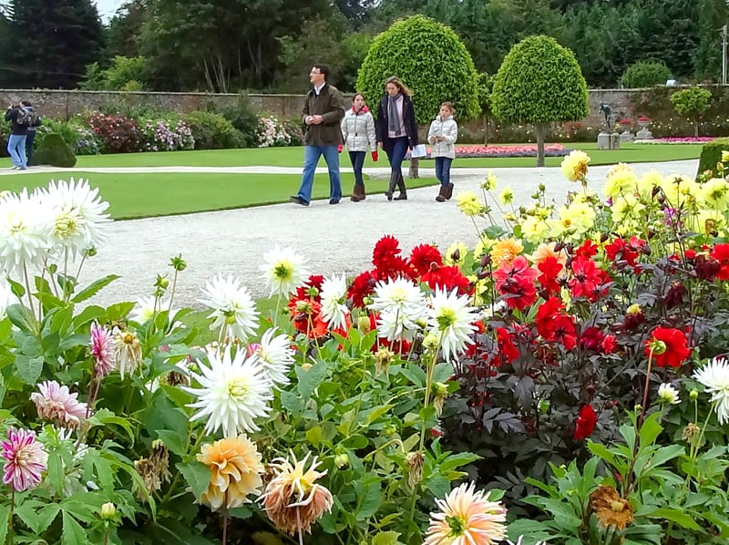 a family walking through Powerscourt, one of the great gardens in Ireland