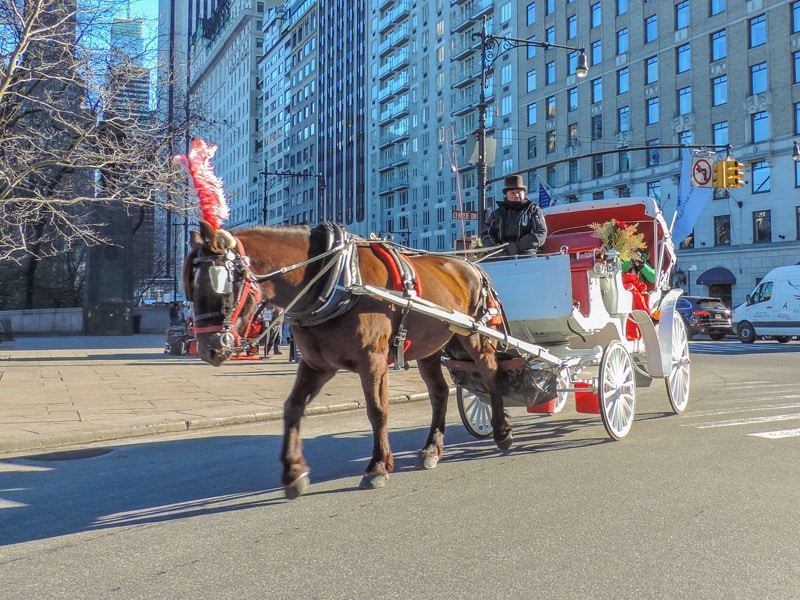 a horse-drawn cart and driver entering Central Park in New York in winter