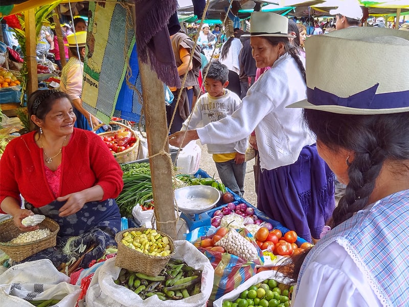 woman wearing Panama hats in a vegetable market