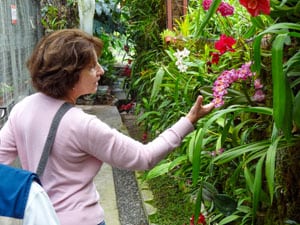 a woman looking at orchids growing in a garden