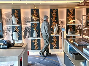 a man walking past an exhibit of large birds