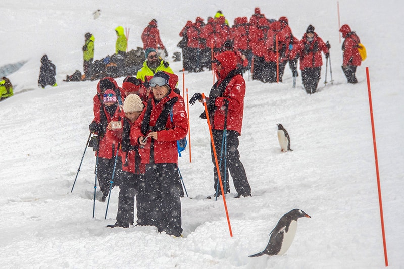 people standiin snow with penguins walking about them - clothing for Antarctica