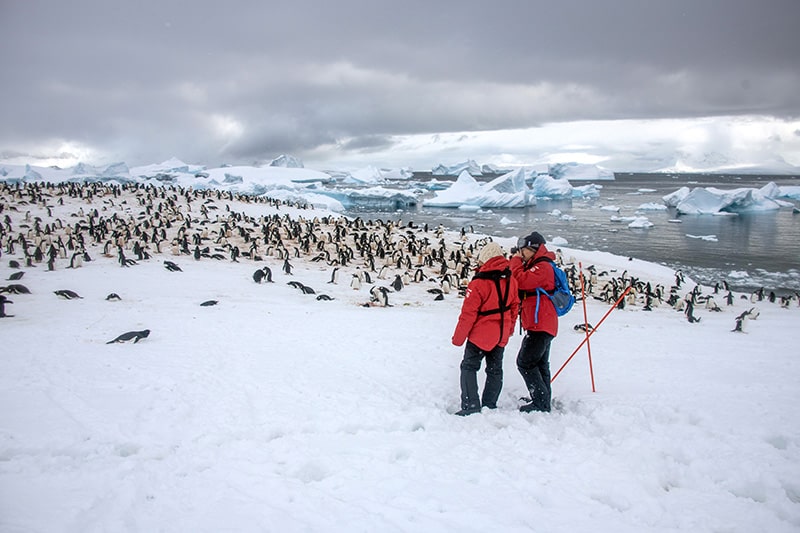 people in red jackets by a large group of penguins seen on an expedition in Antarctica
