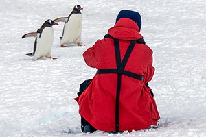 a man taking photos of two penguins seen on an expedition in Antarctica