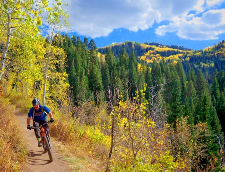 a boy riding a bike along a mountain trail