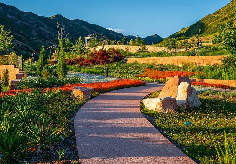 a walkway in a colorful botanical garden