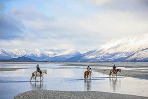 people riding houres on a beach