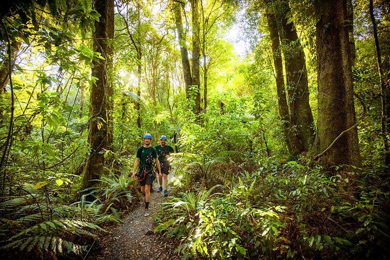 two young men walking through a forest