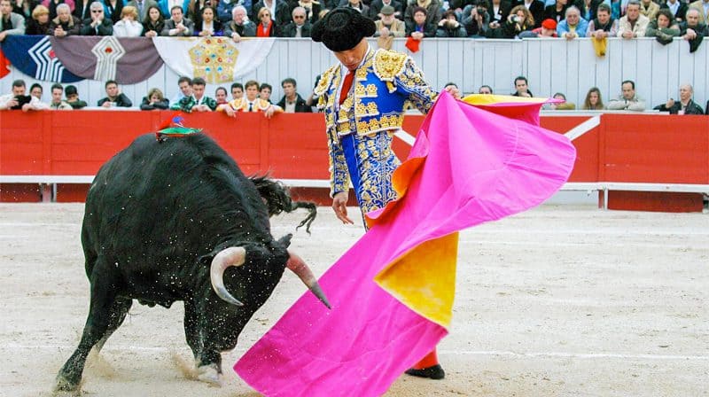 a matador fighting a bull at one of the food festivals in Europe in 2023