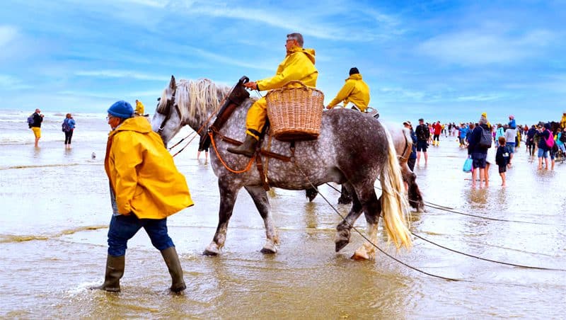 men on large hroses walking through the sea- food festivals in Europe in 2023