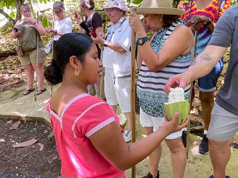a young woman offering pieces of a tropical fruit to a group of people 