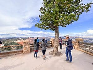 people standing on an outlook viewing one of the Utah National Parks