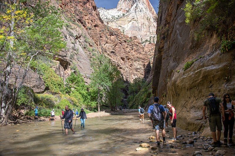 people walking in a river through a rugged canyon