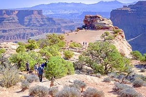 people walking on an outcrop among a canyon in the wilderness
