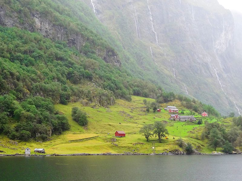 red houses along a fjord 