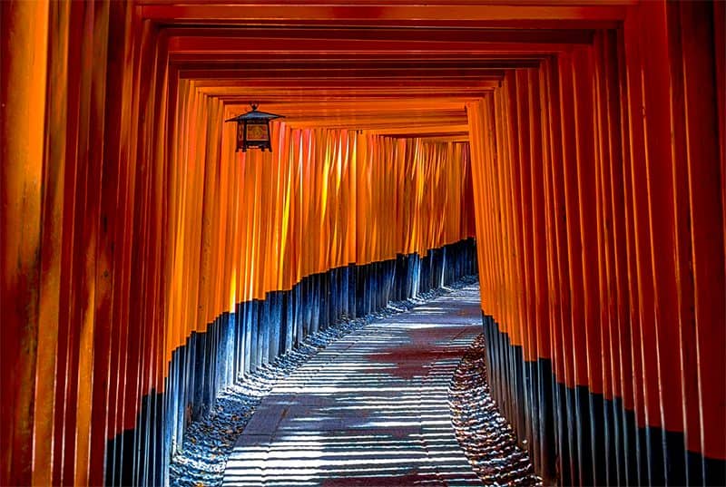 thousands of red torii gates along a walkway  - one of the things to do and see in Kyoto