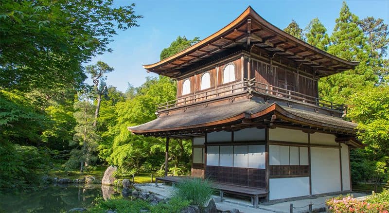 an old brown temple in a forest