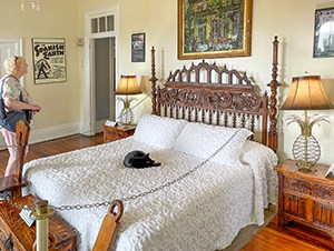 a woman looking at a cat sleeping on a bed in the Florida Keys