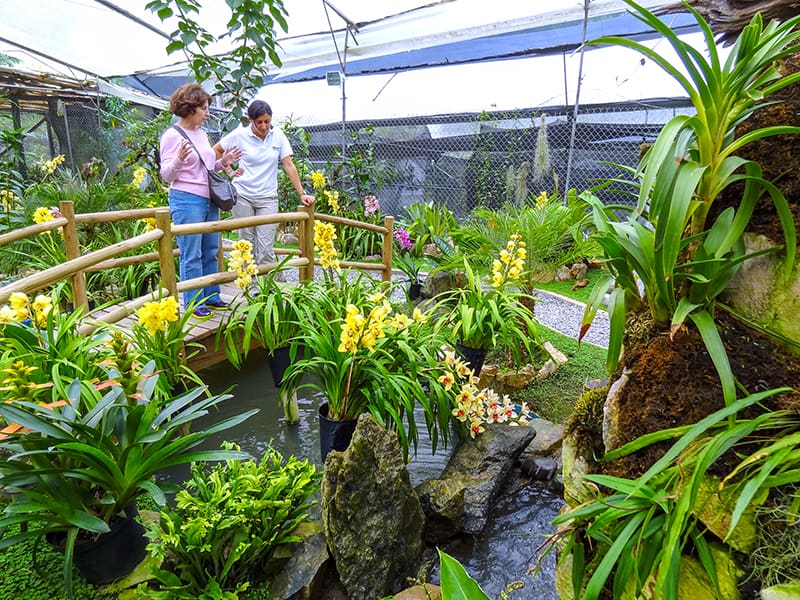 two women on a small bridge visiting  an orchid farm - one of the things to do in Cuenca