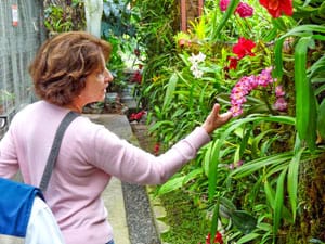 a woman looking at orchids