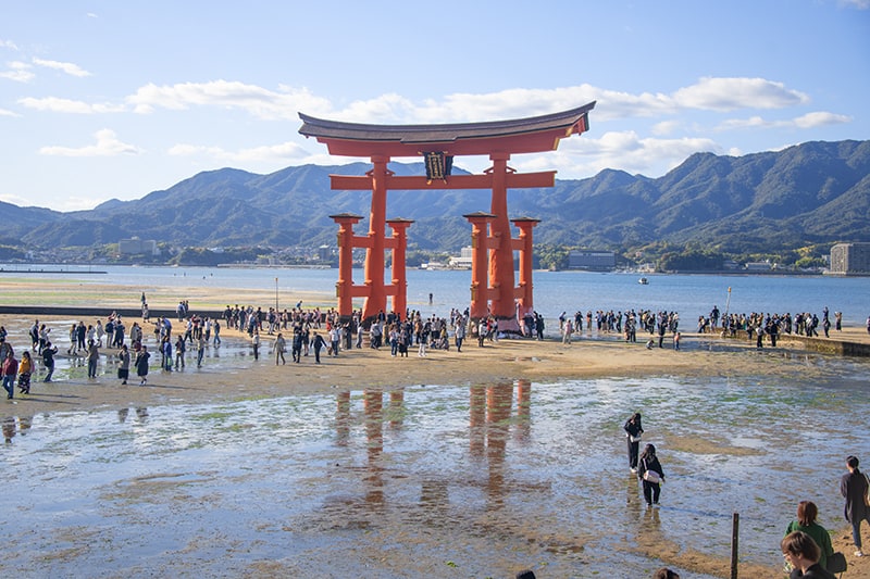 people visiting a huge Torii gate on Miyajima island, one of the things to do in Japan
