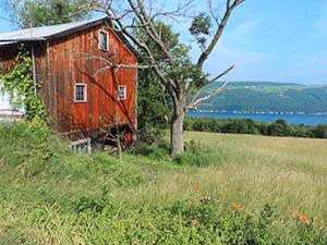 a red barn near a lake
