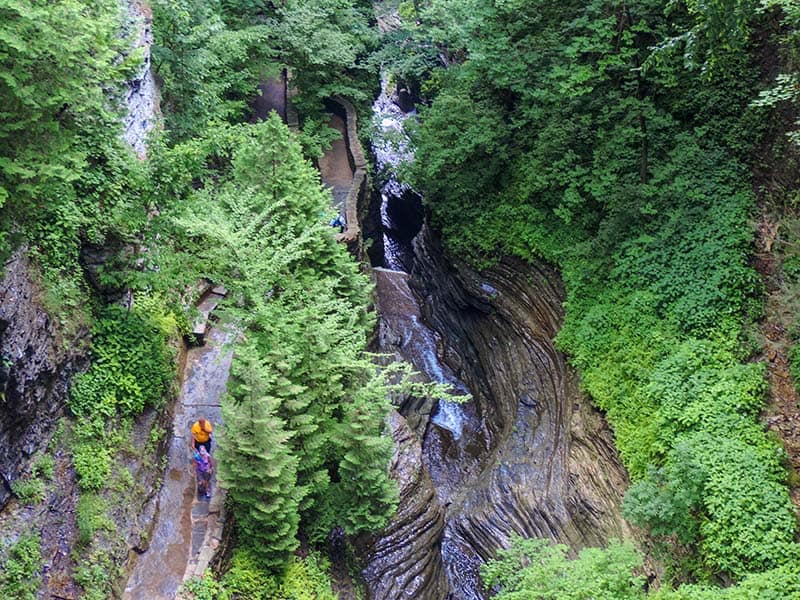 people walking through a ravine with many trees
