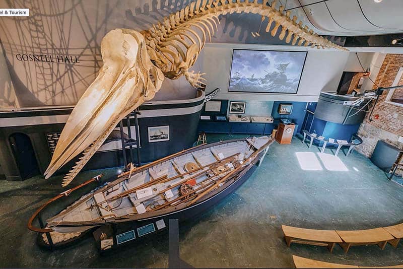 a large skeleton of a whale above a boat in a museum – nantucket vs marthas vineyard