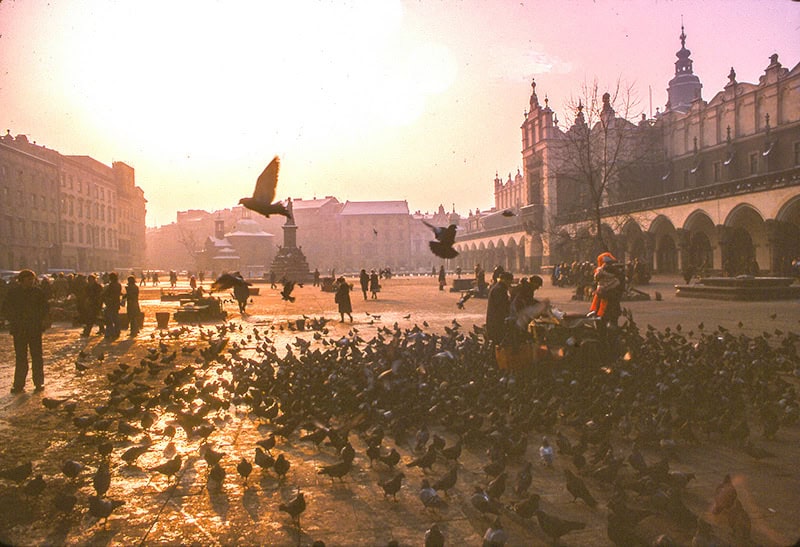 people feed pigeons at sunset in a eastern European festivals city