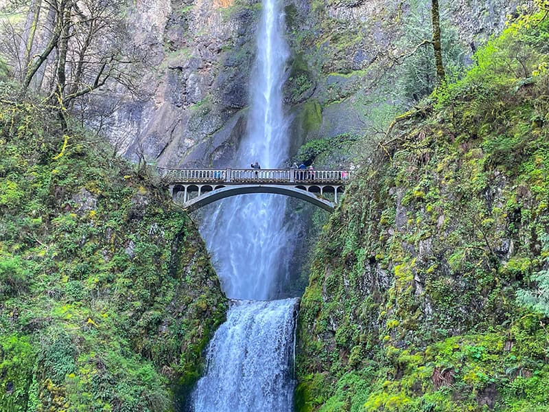 people on a bridge by a large waterfall seen during American Cruise Lines Lewis and Clark tour