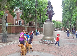 a family walking their dogs