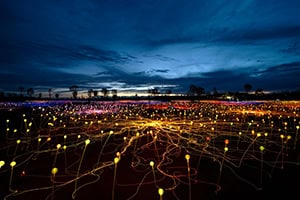 thousands of lights in a field in northern territory australia