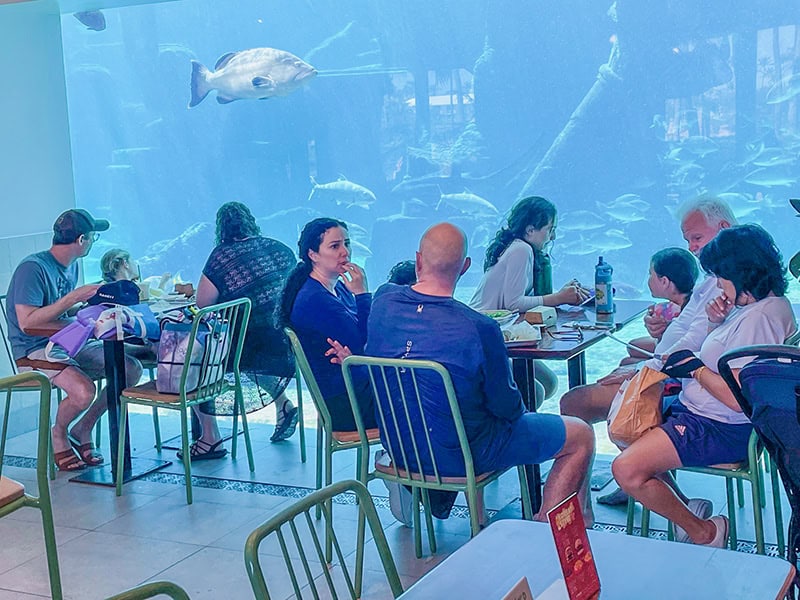 people at tables in an aquarium - review of atlantis bahamas