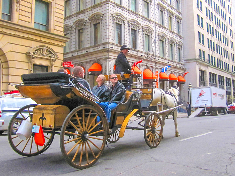 people in a horse-drawn carriage seen during 3 days in Montreal